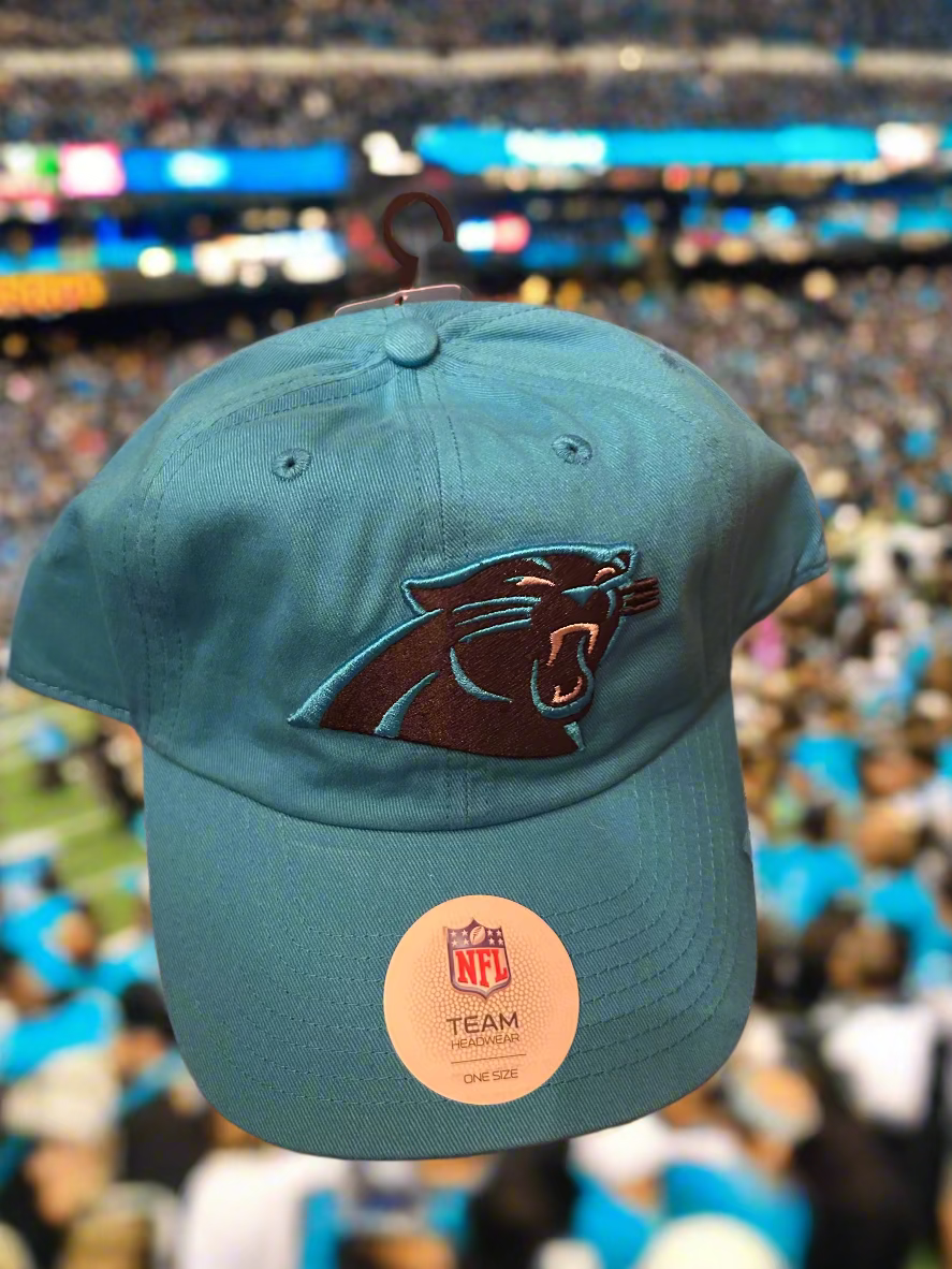 Teal Carolina Panthers cap with NFL logo at a sports event