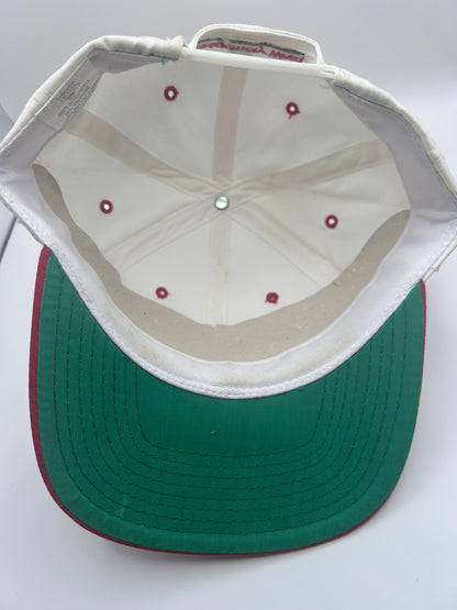 Montgomery-Ward Vintage Chicago Bulls ‘90s Script Snapback Deadstock USA